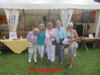 Dorffest am 27. und 28. August 2016, Bild 5